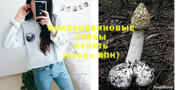 не бодяженный Пересвет