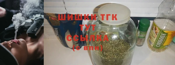 стаф Горняк