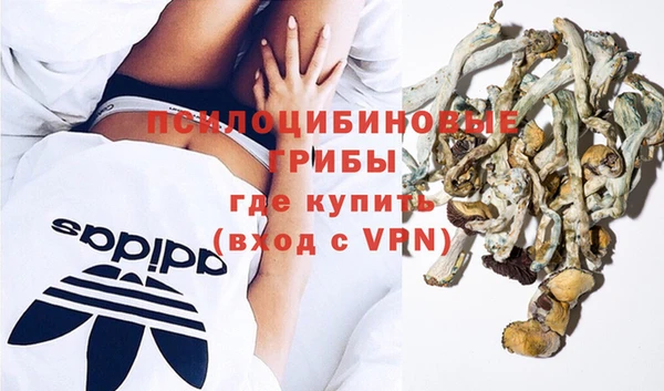 амф Пестово