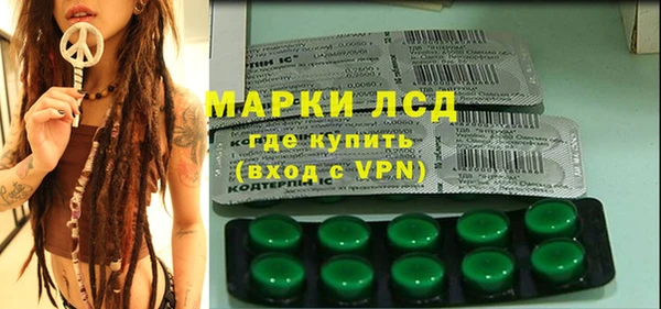 амф Пестово