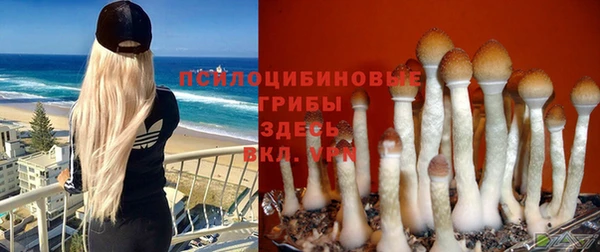 не бодяженный Пересвет