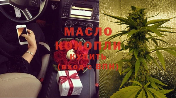 амф Пестово