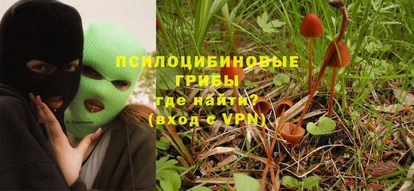не бодяженный Пересвет