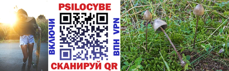 Галлюциногенные грибы Cubensis  Ардатов 